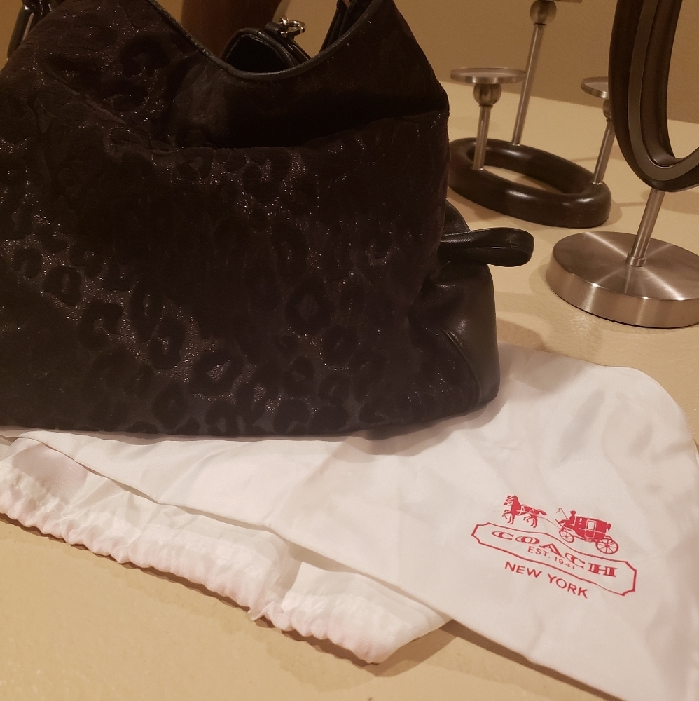 Coach Suede bag